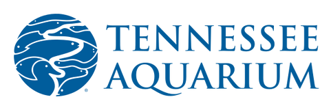 Tennessee Aquarium